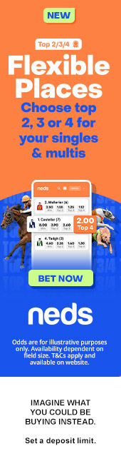 ChaseBet mobile interface showcasing sports betting options