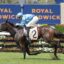 Chayan | Just Horse Racing