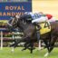 Generosity | Just Horse Racing