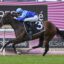 2267609.jpg | Just Horse Racing