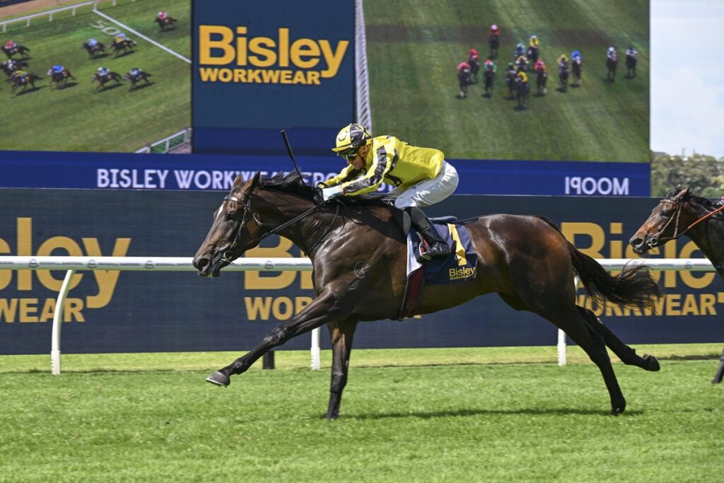 2271378.jpg | Just Horse Racing