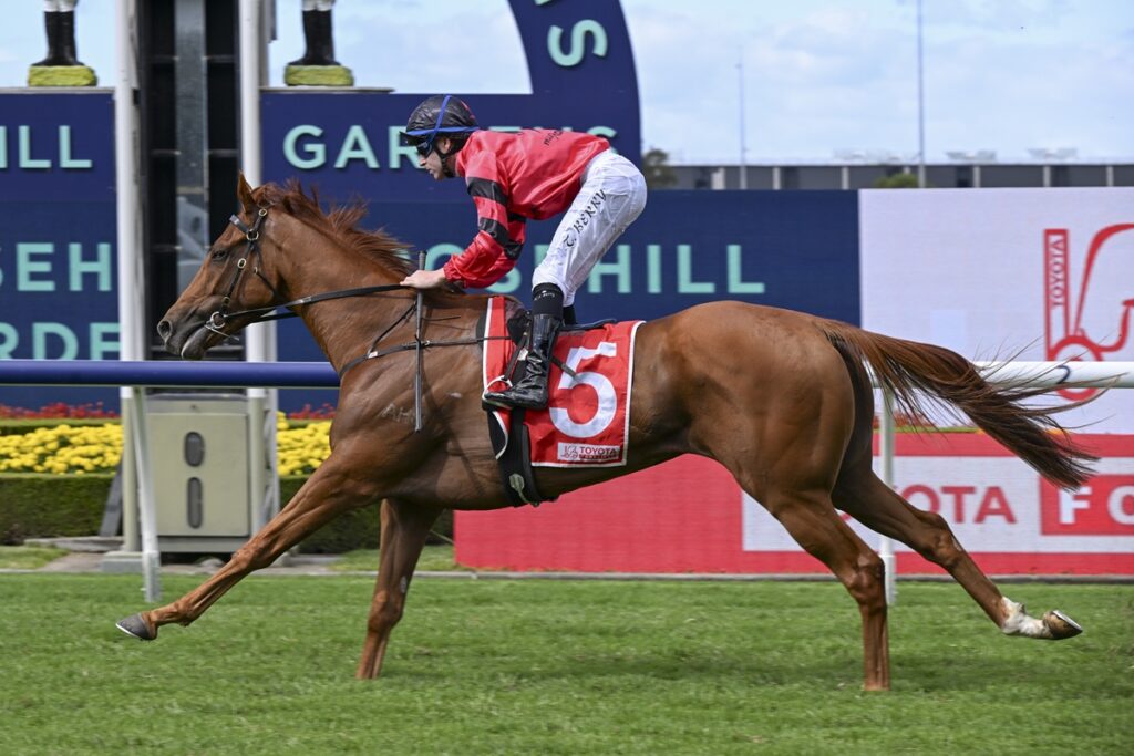 Storm Leopard | Just Horse Racing