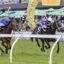 2275606.jpg | Just Horse Racing