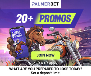palmerbet palmerbet