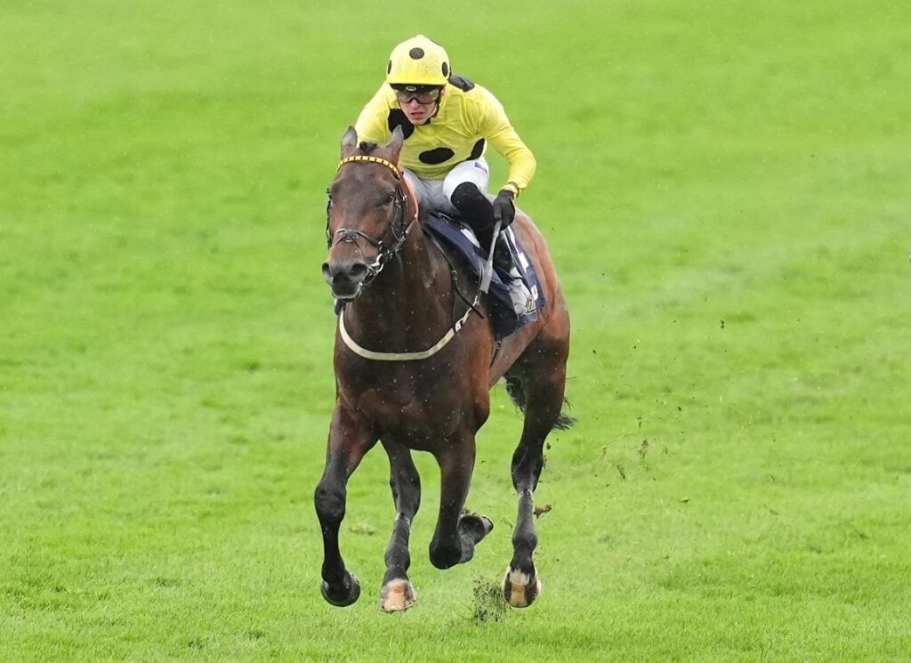 Caviar-Heights | Just Horse Racing