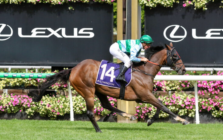Begg hopeful of a Mornington Cup start | Just Horse Racing