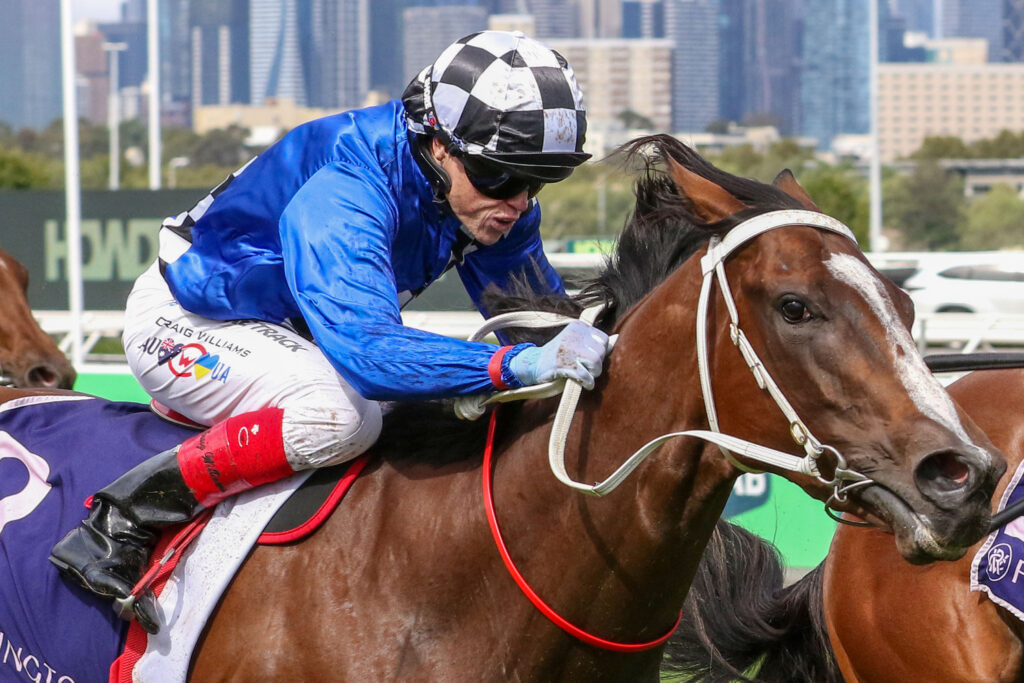 FLEMINGTON_28_3_2026 RACE 6 THANKS GORGEOUS (10) | Just Horse Racing