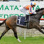 Lara Antipova | Just Horse Racing