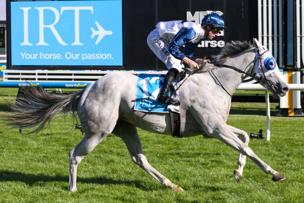 SALTY PEARLV9A1519 | Just Horse Racing