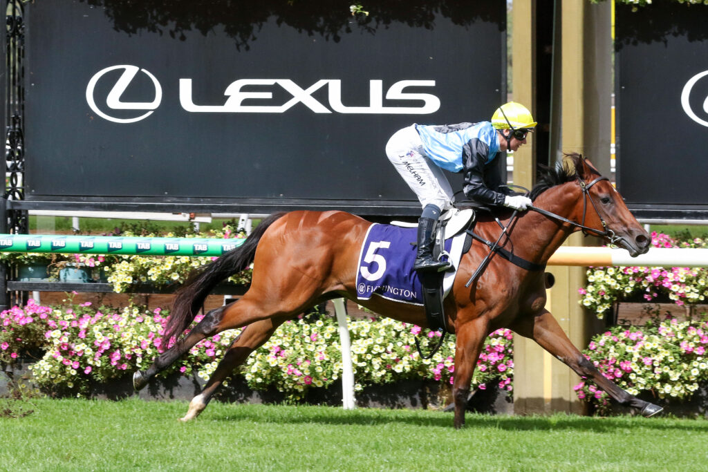 SATONO GLOWV9ASATONO GLOW364 | Just Horse Racing