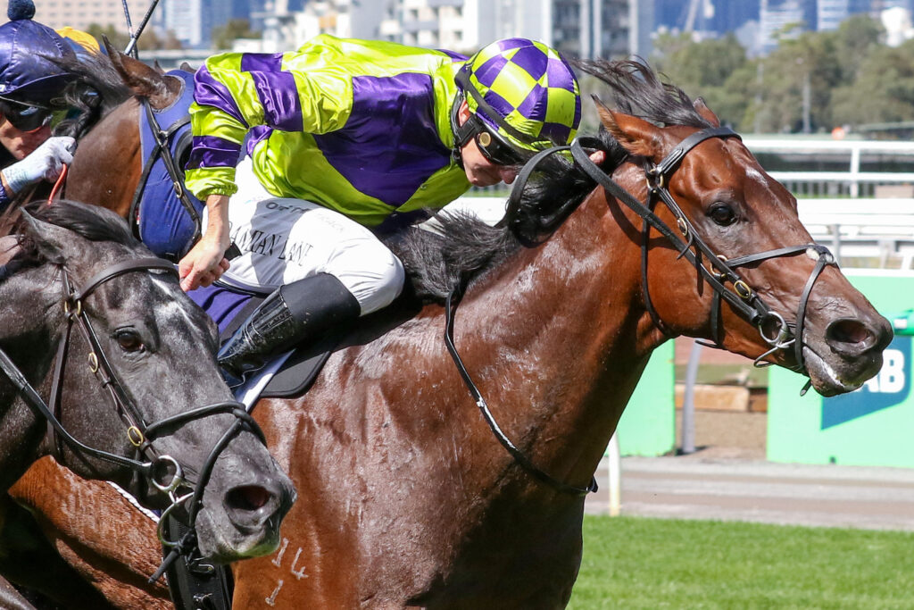 STOLI BOLLIV9ASTOLI BOLLI566 | Just Horse Racing