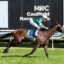 TREASURETHE MOMENTV9A14TREASURETHE MOMENT6 | Just Horse Racing