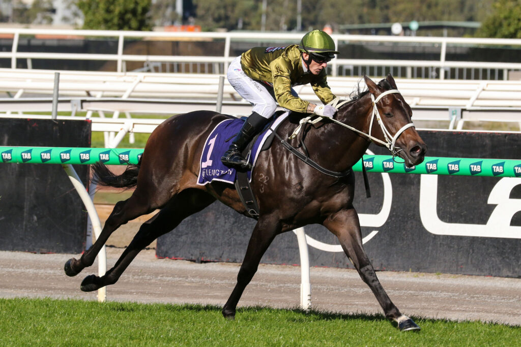 Jockey in a green helmet and gold jacket riding a dark horse over a hurdle during a race.