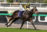 Jockey in a green helmet and gold jacket riding a dark horse over a hurdle during a race.