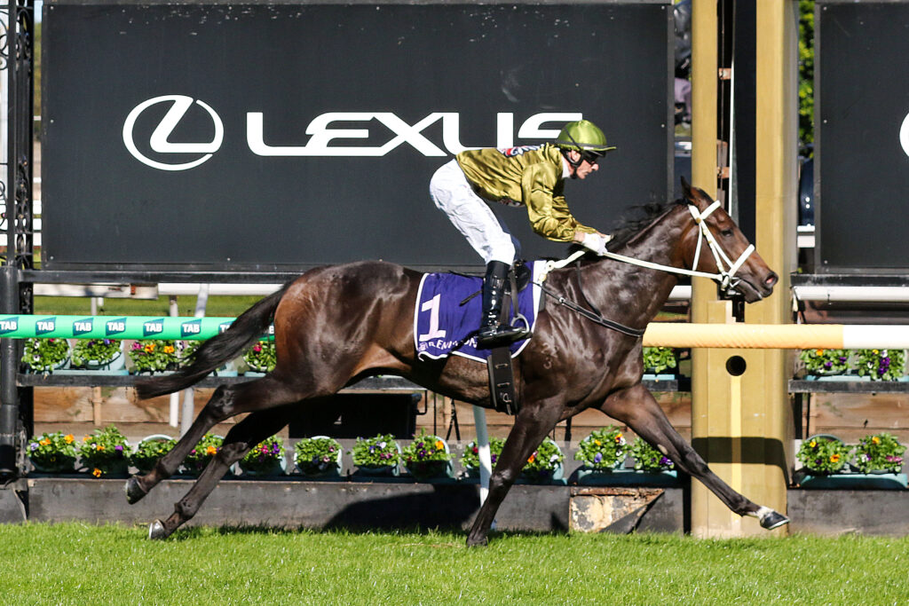 Jockey in a green helmet and gold jacket rides a dark horse over a hurdle at a Lexus-sponsored horse race, with floral barriers in the foreground.