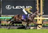 Jockey in a green helmet and gold jacket rides a dark horse over a hurdle at a Lexus-sponsored horse race, with floral barriers in the foreground.