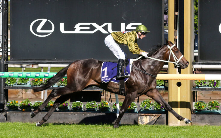Jockey in a green helmet and gold jacket rides a dark horse over a hurdle at a Lexus-sponsored horse race, with floral barriers in the foreground.