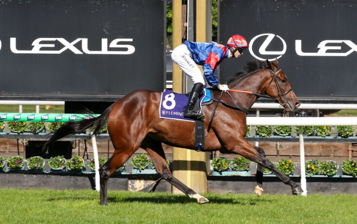 Jockey in blue and red silks rides a brown racehorse with the number 8 saddle cloth, Lexus banners visible in the background during a race.