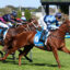 0V9EXTRAGALACTIC0763 | Just Horse Racing