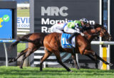 Two jockeys ride racehorses at full speed, necks stretched toward the finish line, with a prominent MRC sign behind them.