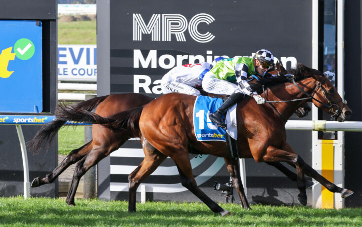 Two jockeys ride racehorses at full speed, necks stretched toward the finish line, with a prominent MRC sign behind them.