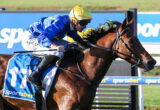 Jockey in blue and yellow silks rides a brown horse during a race; saddlecloth shows number 11 with sportsbet branding.