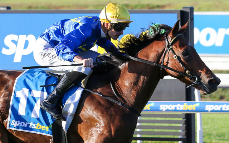 Jockey in blue and yellow silks rides a brown horse during a race; saddlecloth shows number 11 with sportsbet branding.