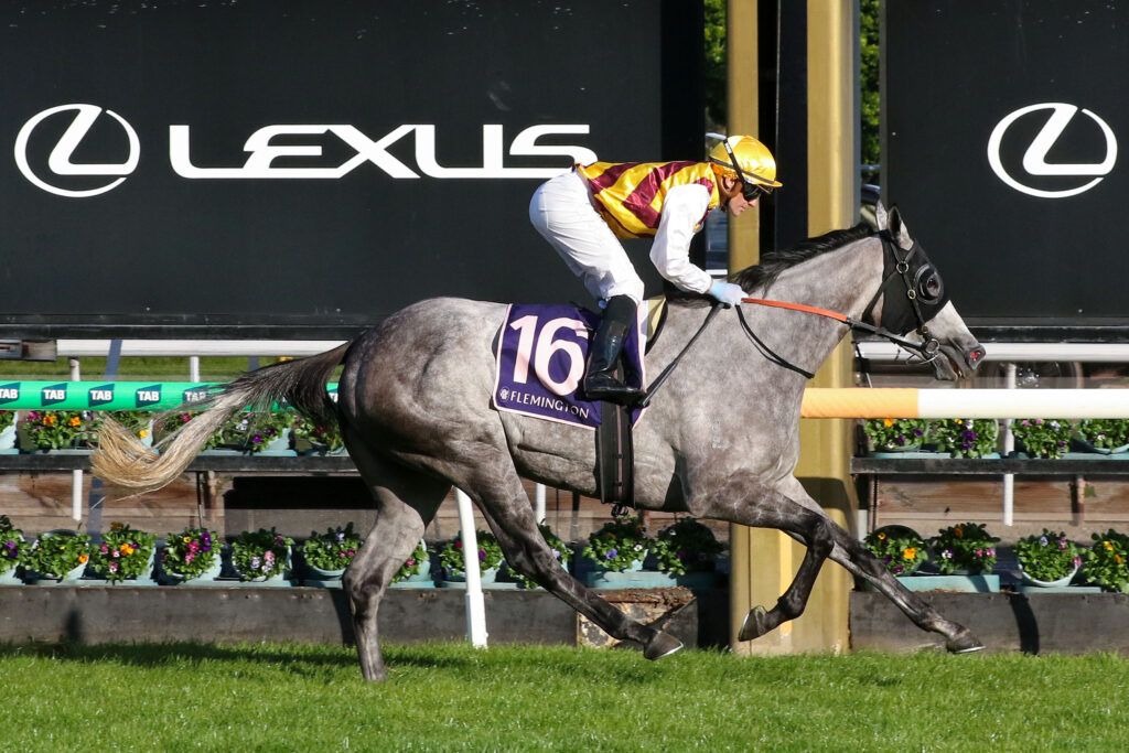 Jockey in yellow and burgundy silks riding a gray horse over a hurdle at a racecourse, Lexus signage in the background.