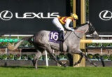 Jockey in yellow and burgundy silks riding a gray horse over a hurdle at a racecourse, Lexus signage in the background.