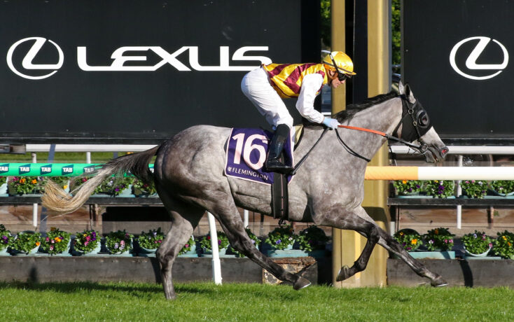 Jockey in yellow and burgundy silks riding a gray horse over a hurdle at a racecourse, Lexus signage in the background.
