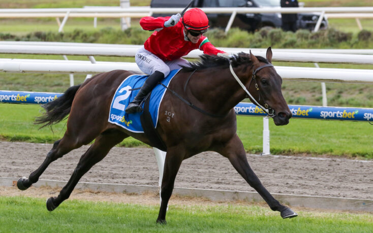 jockey in red silks riding a dark horse with blue saddlecloth number 2 during a horse race on a track