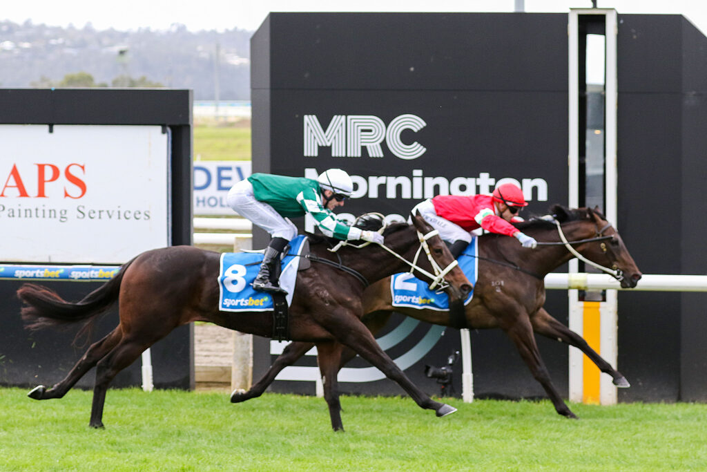 0V9THE SPEED MACHINE0098 | Just Horse Racing Two jockeys race thoroughbreds on a grassy track, one green and white silks ahead of a red-silkd competitor, with race signage in the background