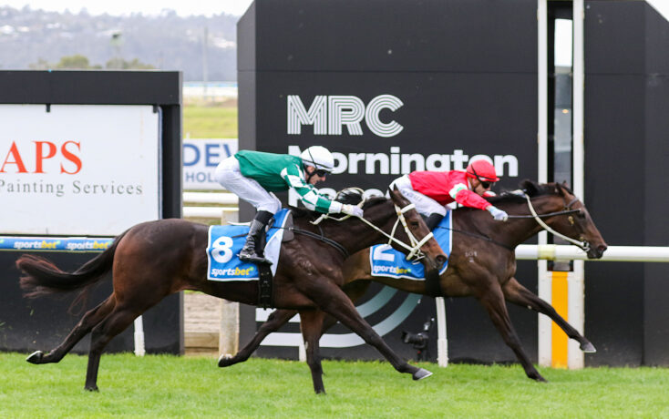 Two jockeys race thoroughbreds on a grassy track, one green and white silks ahead of a red-silkd competitor, with race signage in the background
