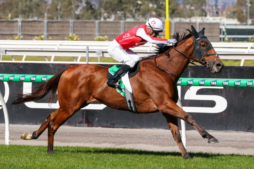 0V9THE WESTERN FRONT0183 | Just Horse Racing Jockey in red-and-white silks riding a brown racehorse at full gallop on a track with green rails.