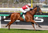 Jockey in red-and-white silks riding a brown racehorse at full gallop on a track with green rails.