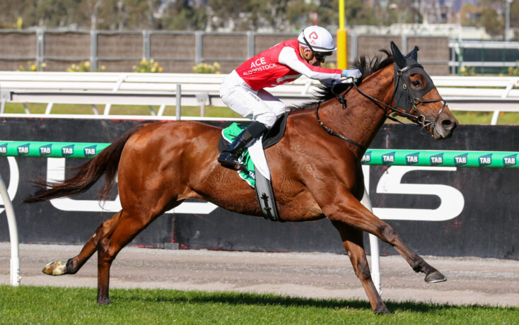Jockey in red-and-white silks riding a brown racehorse at full gallop on a track with green rails.