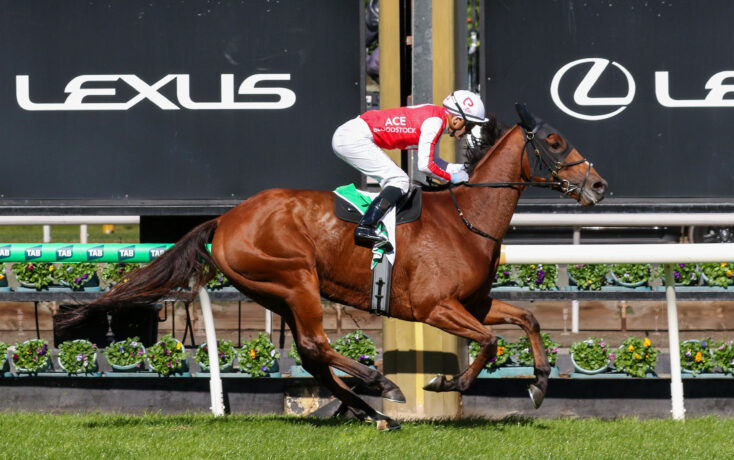 Horse and rider in mid-jump over a hurdle at a racecourse with a Lexus backdrop and along-track greenery behind them.
