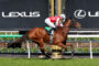 Horse and rider in mid-jump over a hurdle at a racecourse with a Lexus backdrop and along-track greenery behind them.