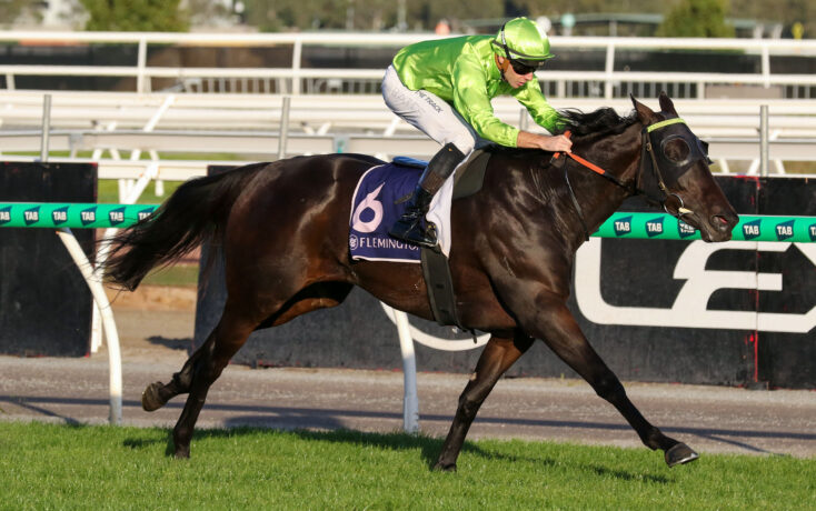 Jockey in neon green silks and cap rides a dark racing horse at full speed on a sunny track, leaning forward in sprint mode.