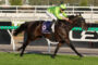 Jockey in neon green silks and cap rides a dark racing horse at full speed on a sunny track, leaning forward in sprint mode.