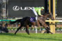 Jockey in neon green silks rides a dark horse during a race, Lexus sign in the background.
