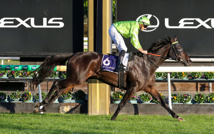 Jockey in bright green silks riding a dark horse over a hurdle at a racecourse, with Lexus banners in the background.