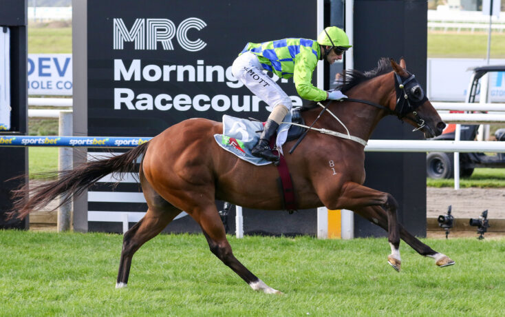 Jockey in a bright green jacket rides a galloping brown horse past a large MPC Morning Racecourse sign at a racecourse event.