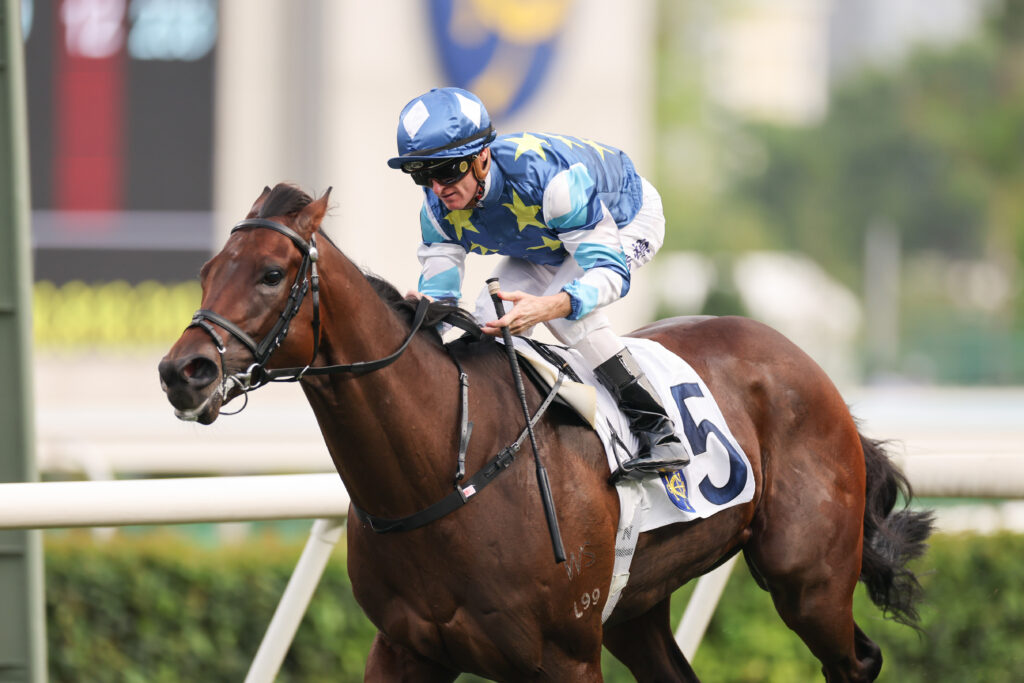 Jockey in blue star-patterned silks rides a dark bay horse, number 5, during a race on a track.