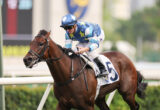 Jockey in blue star-patterned silks rides a dark bay horse, number 5, during a race on a track.