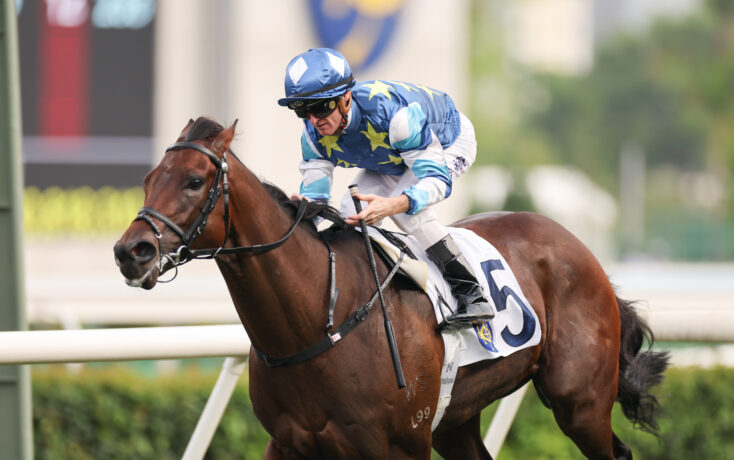 Jockey in blue star-patterned silks rides a dark bay horse, number 5, during a race on a track.