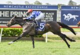 Jockey in blue checkered silks on a dark racehorse (no. 5) sprinting on a grass track at Newcastle Racecourse.