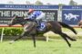 Jockey in blue checkered silks on a dark racehorse (no. 5) sprinting on a grass track at Newcastle Racecourse.