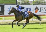 Jockey in blue and black silks rides a dark bay horse at full gallop on a turf racetrack, number 8 on the saddle cloth, sponsor boards in the background.