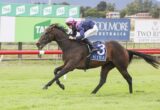 A jockey in pink cap riding a dark horse number 3 during a race on a green grass track with sponsor signs in the background.